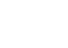 Limitless Travel